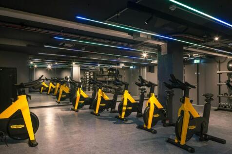 Luca Piffaretti_RED Explore_Web_0019.jpg