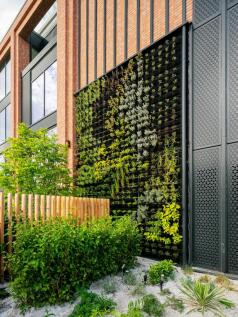 Luca Piffaretti_RED Explore_Web_0023.jpg