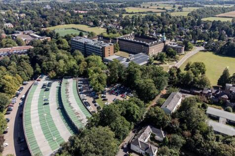 DJI_0161.jpg