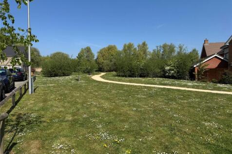 Front Green Area