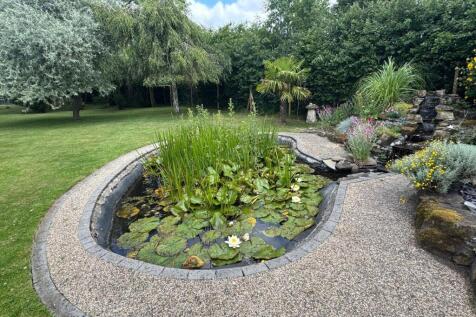 Pond