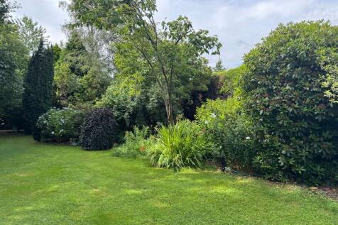 Property Image 33