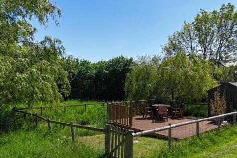 Wildlife pond
