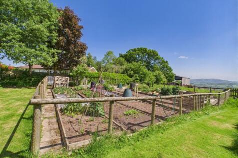 Veg garden