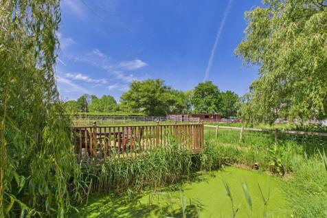Wildlife pond