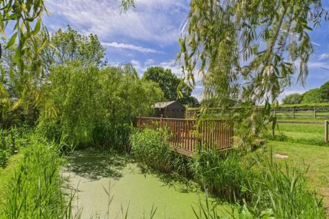 Wildlife pond