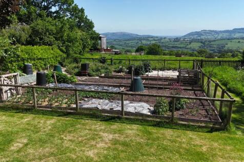 Veg garden