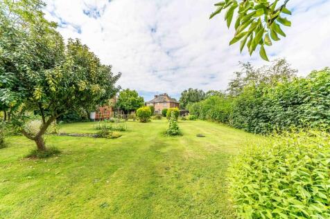 Back garden