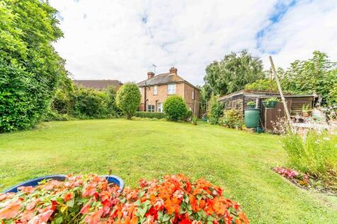 Back garden
