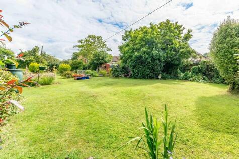 Back garden