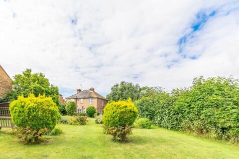 Back garden