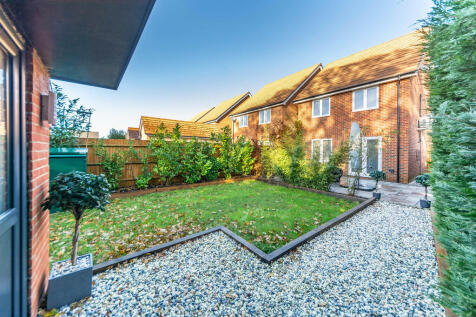 Back garden