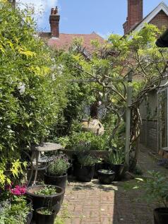 Rear Garden 2