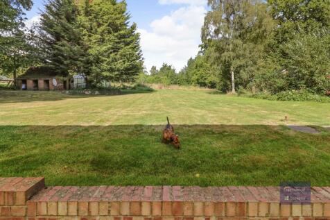 Property Image 43