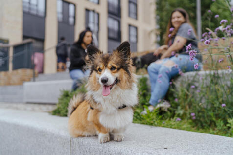 GQ Glassworks Lifstyle (4) (1)