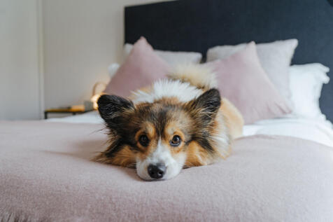 GQ Glassworks Lifstyle (1) (1)