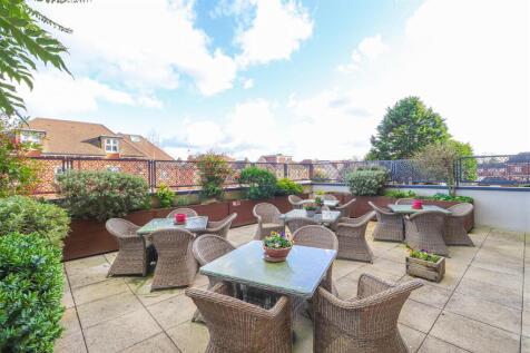 Communal Outdoor Terrace