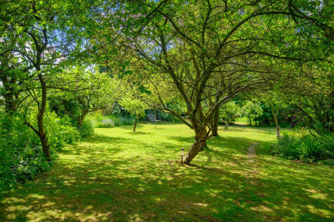 Property Image 36