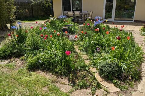 Property Image 36