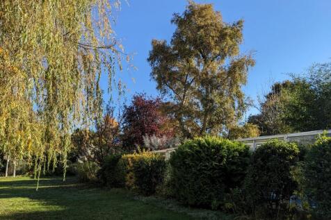 Property Image 42