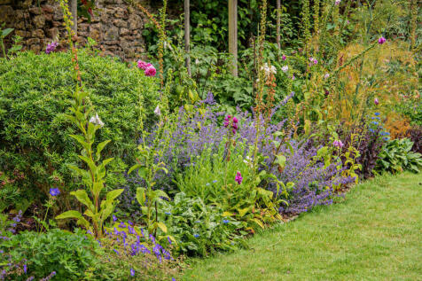 Property Image 44