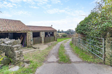 Property Image 42