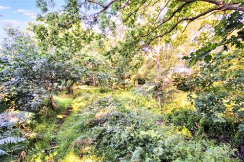 Nature Site