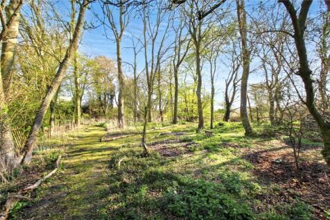 Coppice