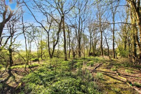 Coppice