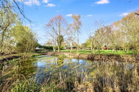 Pond