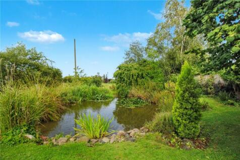 Pond