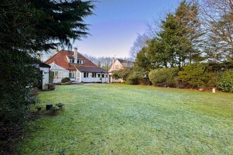 Property Image 32