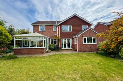 Property Image 34