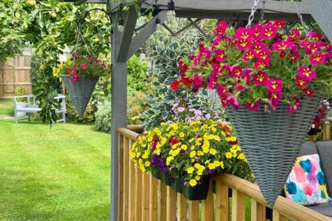 Property Image 34