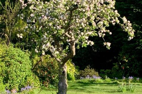 Property Image 39