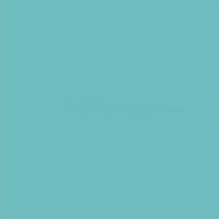Blank.jpg