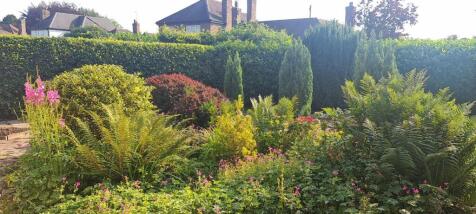 garden.jpeg