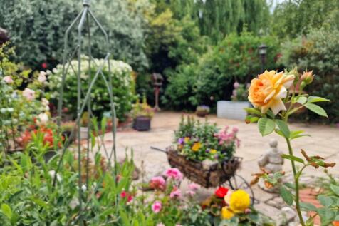 Property Image 23