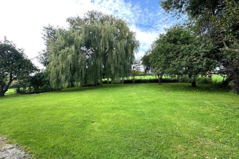 GARDEN.jpg