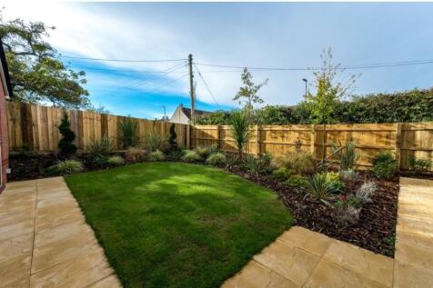 Back Garden