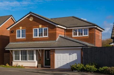 Shore - Redwood Gard