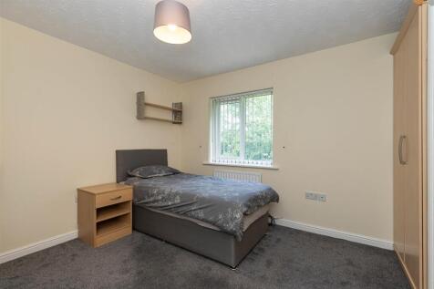 29 Bullrushes Close-9.jpg