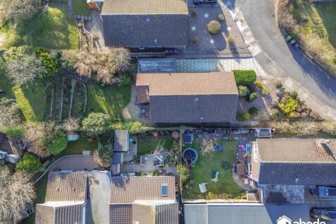 DJI_0305-2.jpg