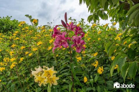 DSC08280-HDR.jpg