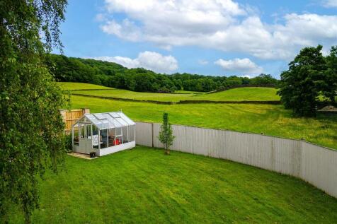 DJI_0056-Edit.jpg