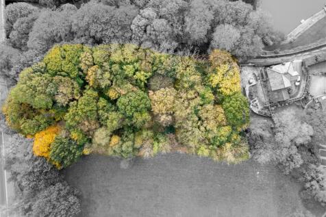 DJI_0025-Edit.jpg