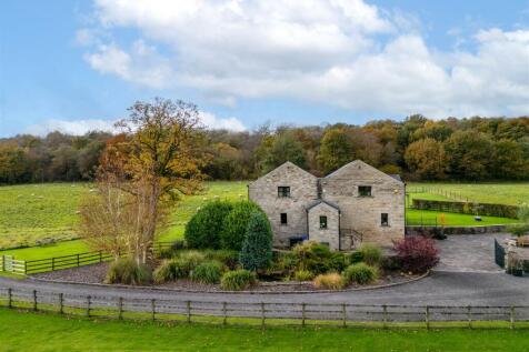 DJI_0030-Edit.jpg