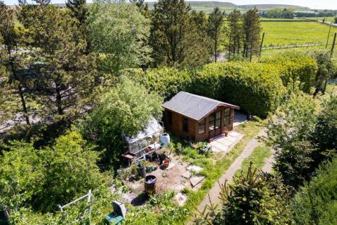 DJI_0017.jpg