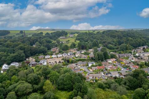 DJI_0019-Edit.jpg