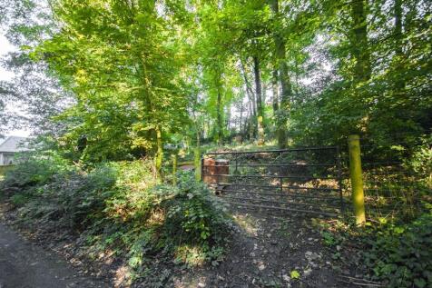 Woodland3.jpg